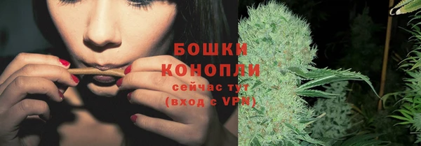 мяу мяу мука Абаза