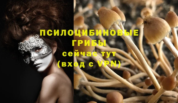 мяу мяу мука Абаза
