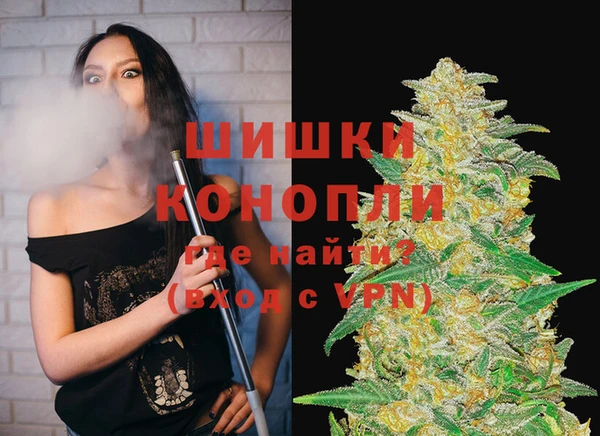 мяу мяу мука Абаза