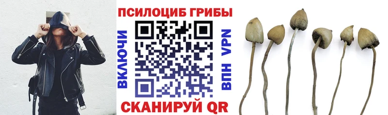 купить закладку Касли Псилоцибиновые грибы ЛСД